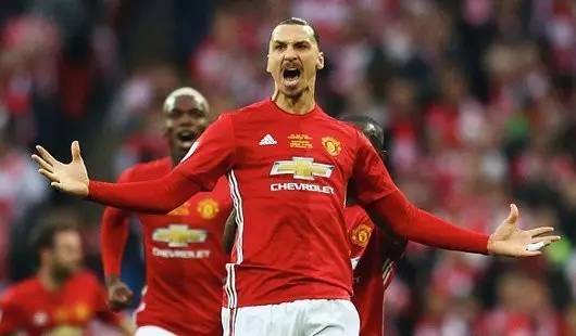 蒂至关重要 蒂至关重要